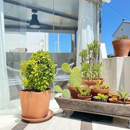O Tourinho Guest house *